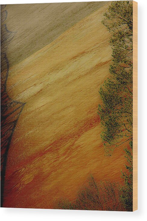 Abstract Wood Print featuring the photograph Mississippi by Michael Nowotny