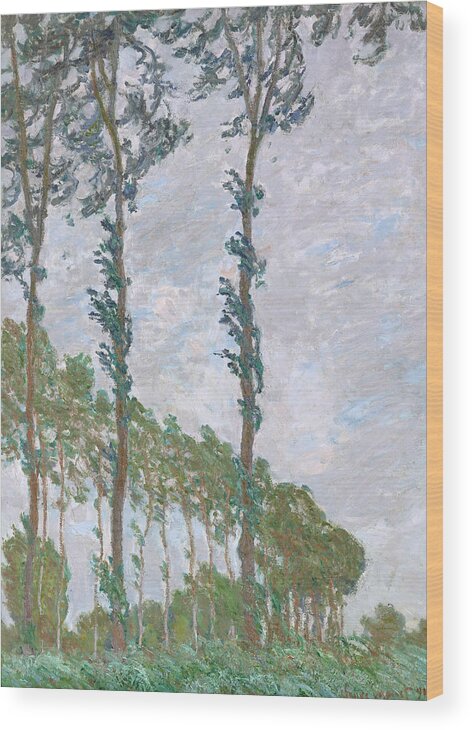 1891 Wood Print featuring the painting Monet Poplars, 1891 by Granger