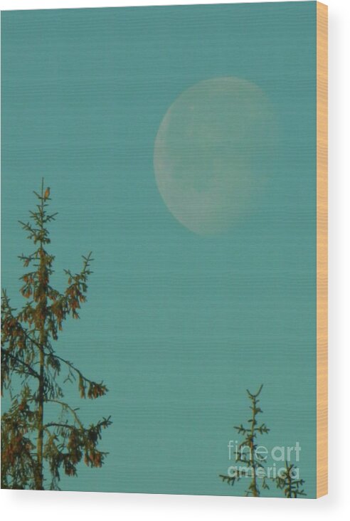Bird Wood Print featuring the photograph Moon With Little Bird by Gallery Of Hope 