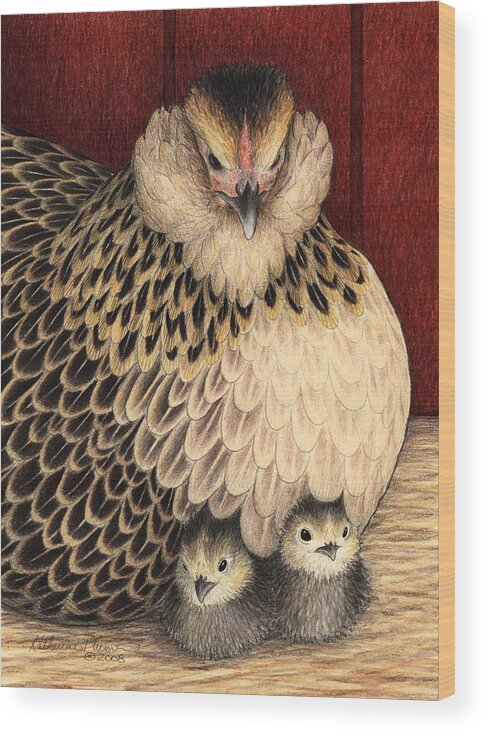 Hen Wood Print featuring the drawing New Arrivals by Katherine Plumer
