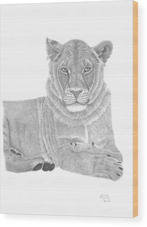 Lioness Wood Print featuring the drawing Nyah The Lioness by Patricia Hiltz