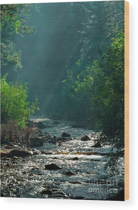 Digital Color Photo Wood Print featuring the digital art Pecos River Spring by Tim Richards