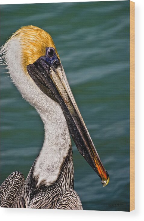 2007 Wood Print featuring the photograph Pelican Profile No.40 by Mark Myhaver