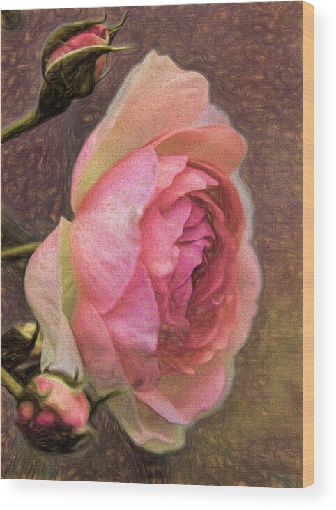 Love Wood Print featuring the photograph Pink rose imp 1 - artistic pink rose with buddies by Leif Sohlman