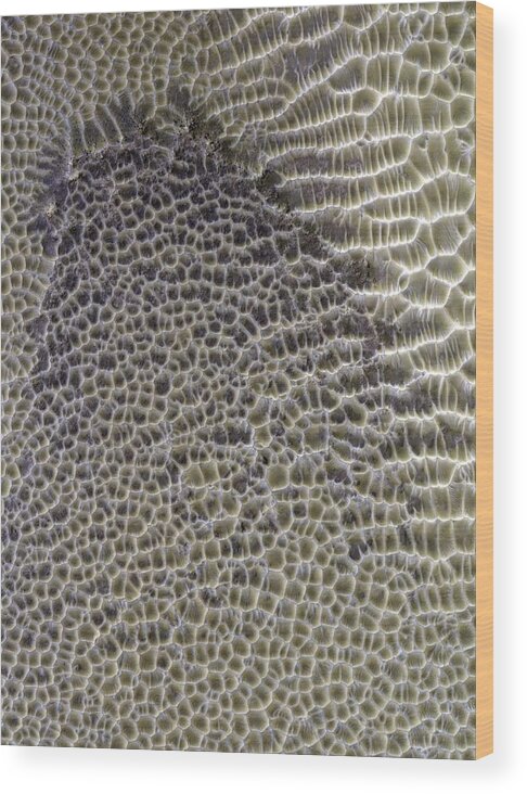 Planet Wood Print featuring the photograph Polygonal Dunes On Mars by Nasa