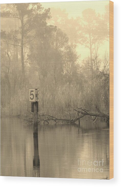 Shroud Wood Print featuring the photograph Pride by John Glass