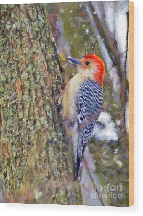 Red-bellied Woodpecker Wood Print featuring the photograph Red-bellied Woodpecker As The Snow Falls by Kerri Farley