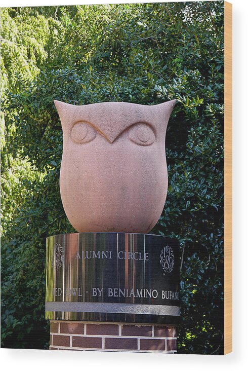 Richard Reeve Wood Print featuring the photograph Red Owl at Temple by Richard Reeve
