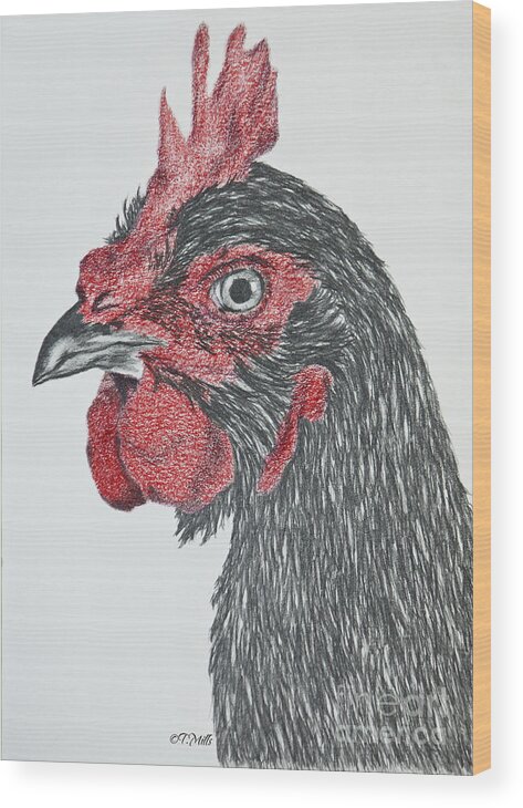 Chicken Wood Print featuring the drawing Rhode Island Red Chicken by Terri Mills