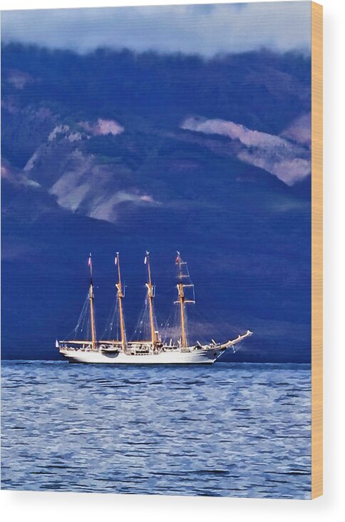 Ocean Wood Print featuring the photograph Road to Lahaina 34 by Dawn Eshelman