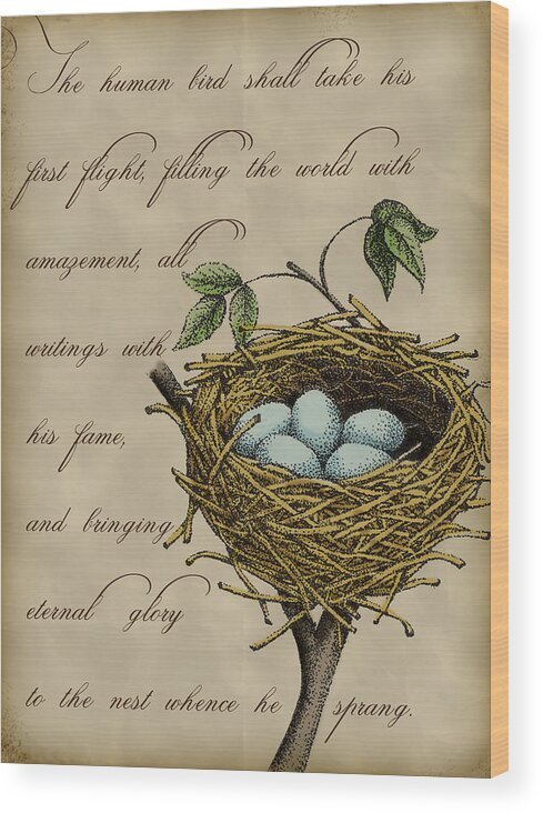 Nest Wood Print featuring the digital art Robin's Nest by Christy Beckwith