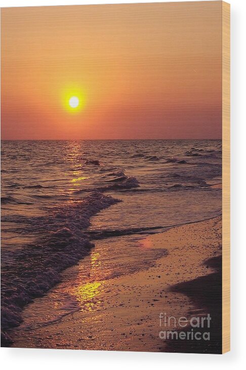 Bestseller Wood Print featuring the photograph Sanibel Sunset by D Hackett