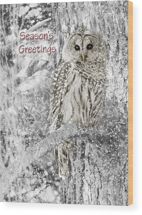 Owl Wood Print featuring the photograph Season's Greetings Card Winter Barred Owl by Jennie Marie Schell