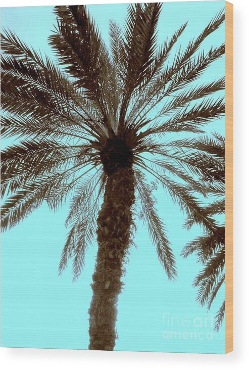 Palm Tree Wood Print featuring the photograph Sepia Palm by Jeanne Forsythe