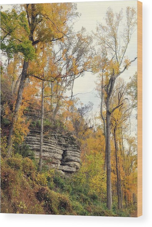 Bluff Wood Print featuring the photograph Shawee Bluff in Fall by Marty Koch