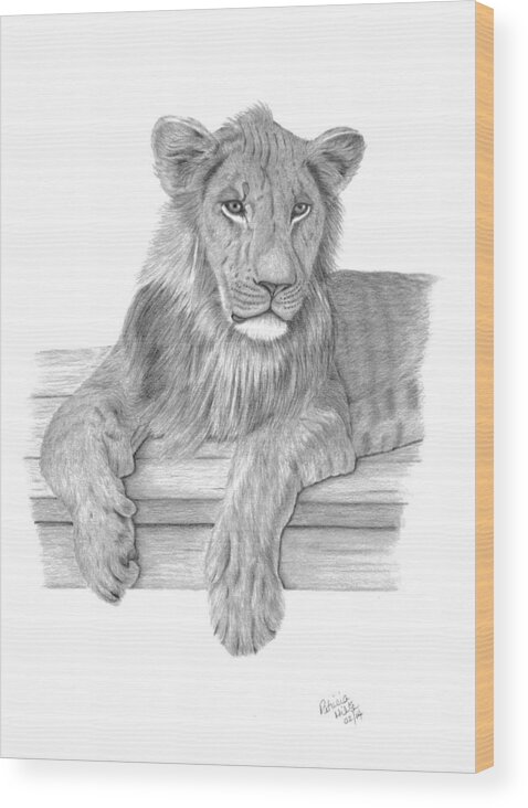 Lion Wood Print featuring the drawing Strek The Future King by Patricia Hiltz