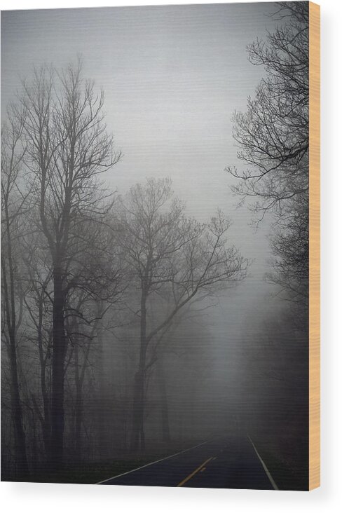 Skyline Drive Fog Wood Print featuring the photograph Skyline Drive in Fog by Greg Reed