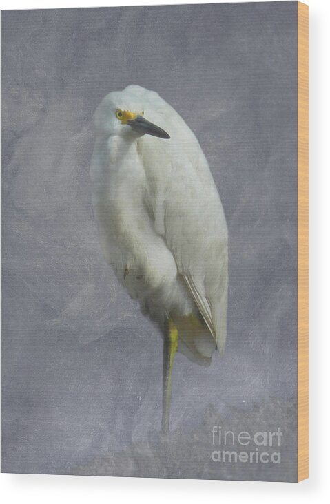 egretta Thula Wood Print featuring the digital art Snowy Egret by Deborah Smith