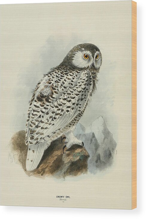 Snowy Owl Wood Print featuring the painting Snowy Owl 1 by Dreyer Wildlife Print Collections 