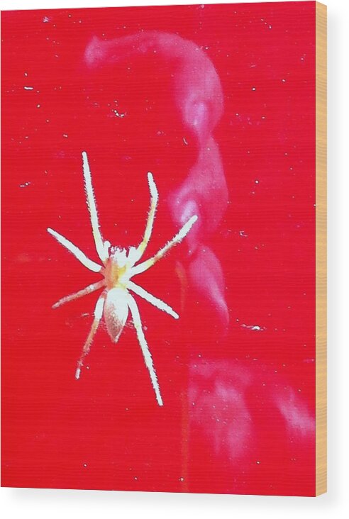 Spider Wood Print featuring the photograph Spider Man by John Glass