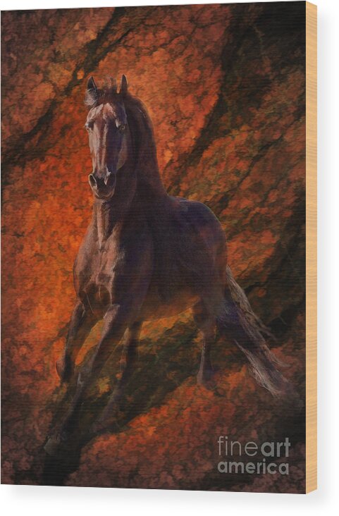 Friesian Stallion Wood Print featuring the photograph Sterling's Flight by Melinda Hughes-Berland