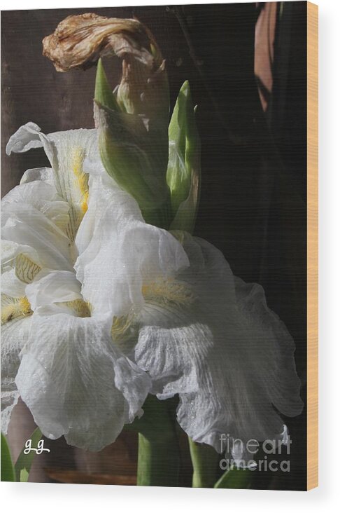 Floral Wood Print featuring the photograph Subtle Finale by Geri Glavis