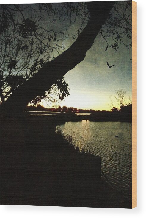 Sunset Wood Print featuring the photograph Sunset at the Pond by Anne Thurston