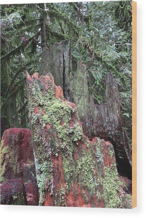 Forest Wood Print featuring the photograph The Art of the Forest 2 by Kate Gibson Oswald