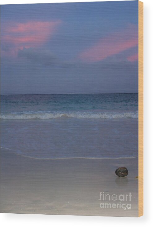 Tramonto Photographs Wood Print featuring the photograph The Caribbean sunset by - Zedi -
