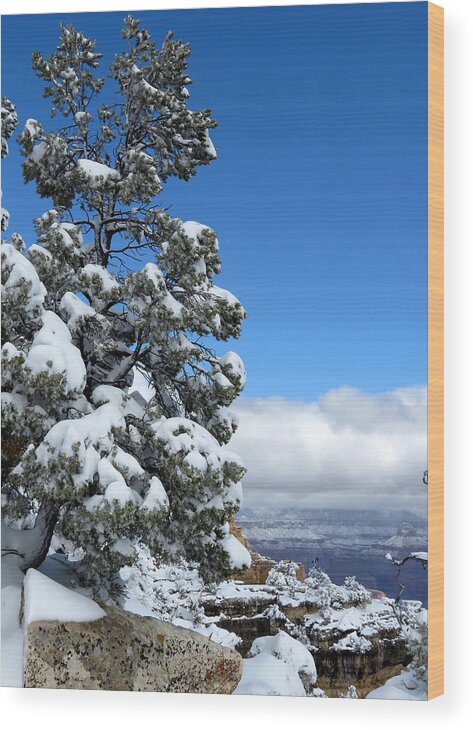 Grand Canyon Wood Print featuring the photograph Tree at the Grand Canyon by Laurel Powell
