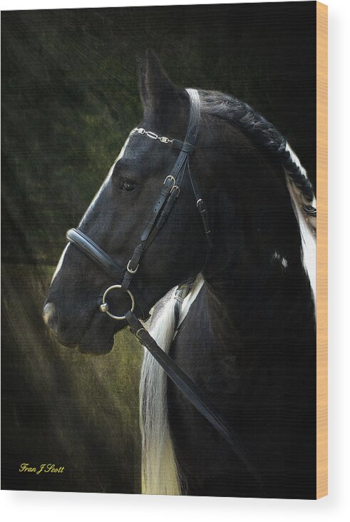 Horses Wood Print featuring the photograph Val Headshot by Fran J Scott