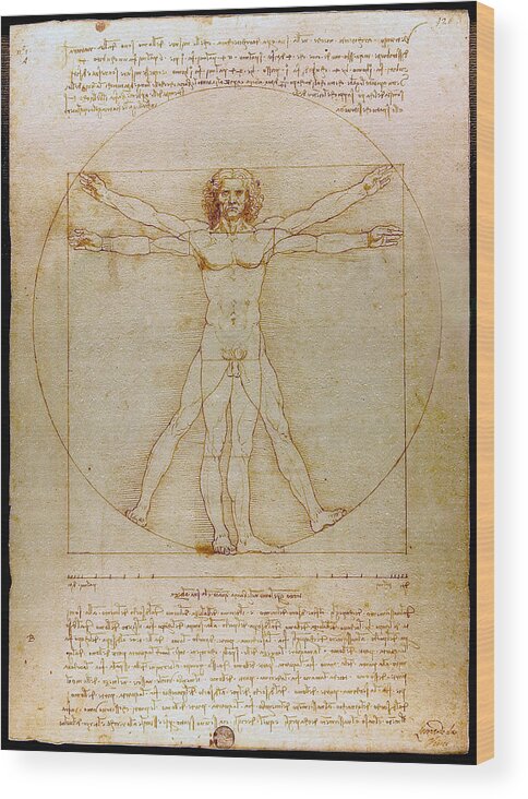 Vitruvian Man Wood Print featuring the drawing Vitruvian Man by Leonardo da Vinci by Karon Melillo DeVega