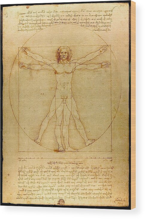 Leonardo Da Vinci Wood Print featuring the painting Vitruvian Man by Leonardo da Vinci