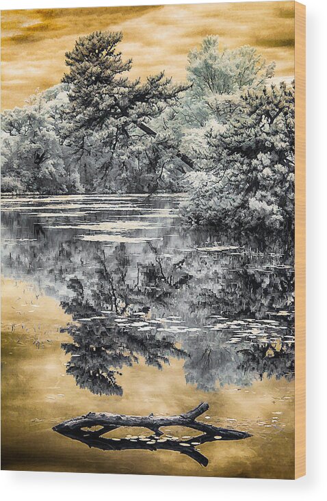 Pond Wood Print featuring the photograph West Brook Pond by Steve Zimic