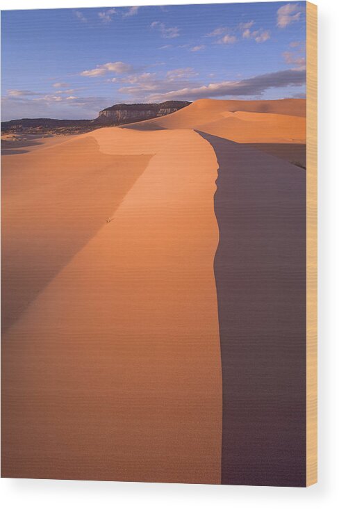 Feb0514 Wood Print featuring the photograph Wind Ripples Coral Pink Sand Dunes by Tim Fitzharris