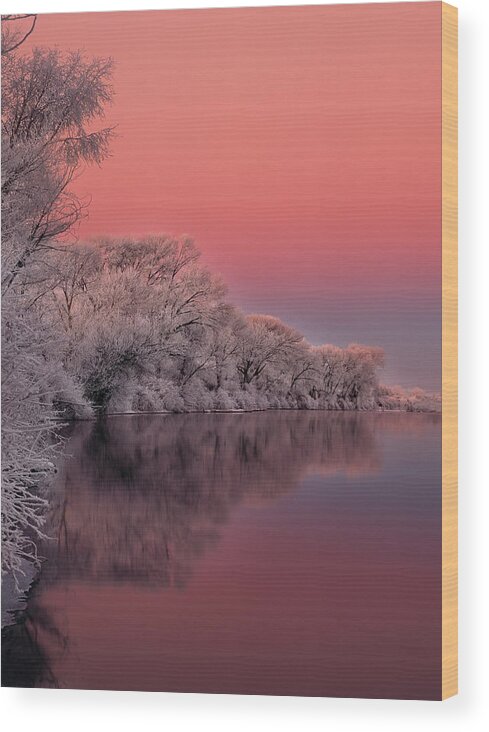 Idaho Wood Print featuring the photograph Winter Color by Leland D Howard