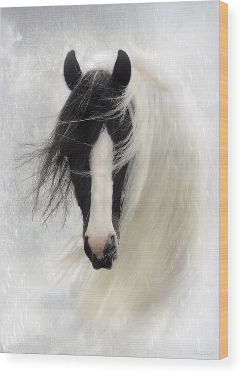 Horses Wood Print featuring the photograph Wisteria by Fran J Scott