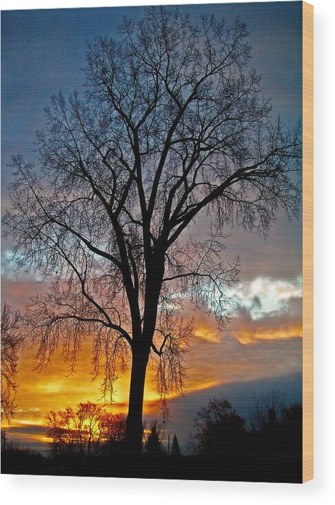 North America Wood Print featuring the photograph A New Day Begins ... #2 by Juergen Weiss