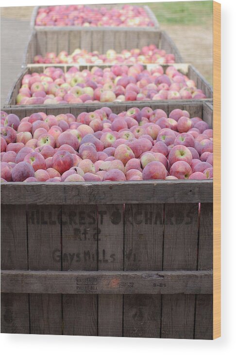 Apples Wood Print featuring the photograph Bountiful #2 by Linda Mishler