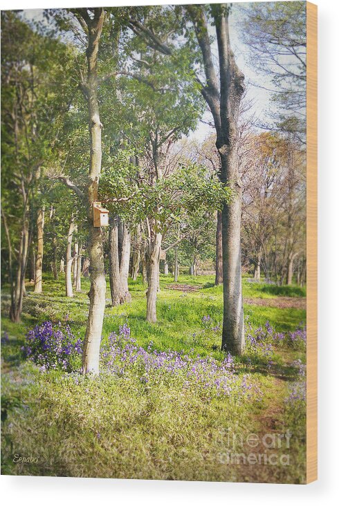 Tree Wood Print featuring the photograph Spring Awakening #1 by Eena Bo