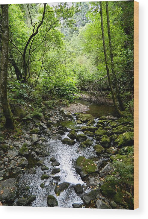 Landscape Wood Print featuring the photograph Spring Creek III #1 by Kathleen Grace