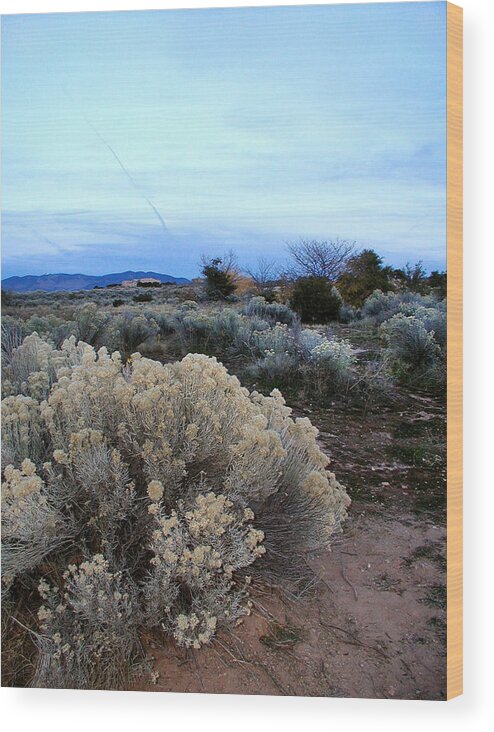 Santa Fe Wood Print featuring the photograph A Desert View after Sunset by Kathleen Grace