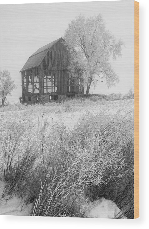 Barn Wood Print featuring the photograph Black and white photo of an old dilapitated barn in an early morning hoar frost by Randall Nyhof