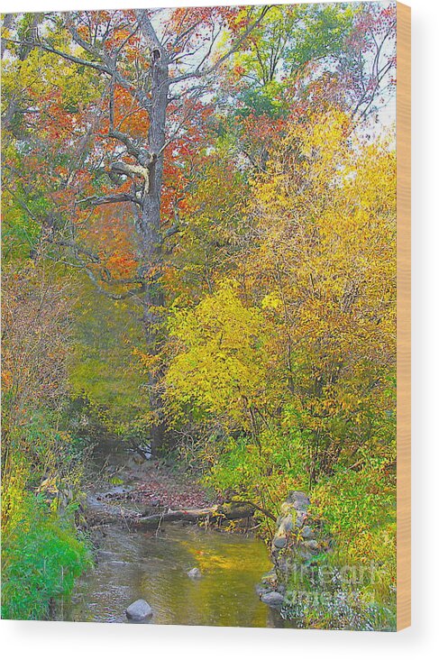 Hdr Wood Print featuring the photograph Color Creek by Robert Pearson