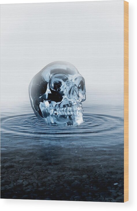 Illustration Wood Print featuring the photograph Crystal Skull, Artwork by Victor Habbick Visions