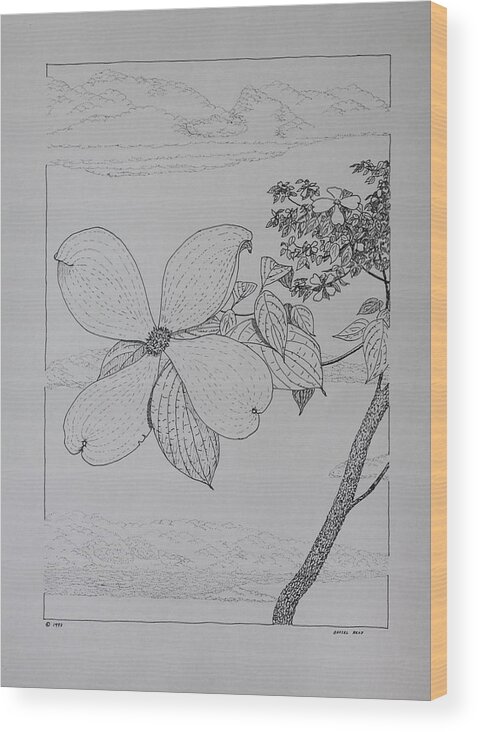 Dogwood Wood Print featuring the drawing Dogwood by Daniel Reed