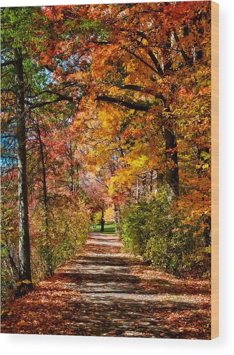 Waterfalls Wood Print featuring the photograph Fall Pathway by Fred LeBlanc