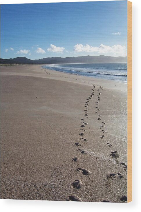 New Zealand Wood Print featuring the photograph Footsteps in the Sand by Peter Mooyman