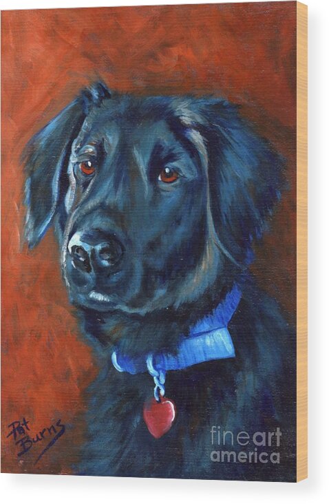 Dog Wood Print featuring the painting Gabby by Pat Burns