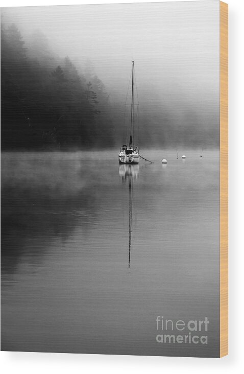 Fog Wood Print featuring the photograph Into the Fog by Brenda Giasson